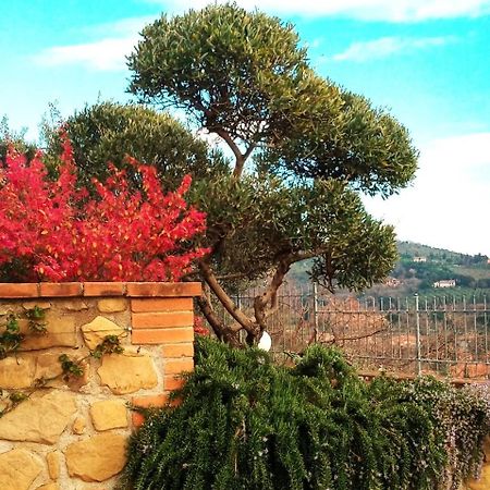 Olivo Bonsai Hotel Passignano sul Trasimeno Exterior foto