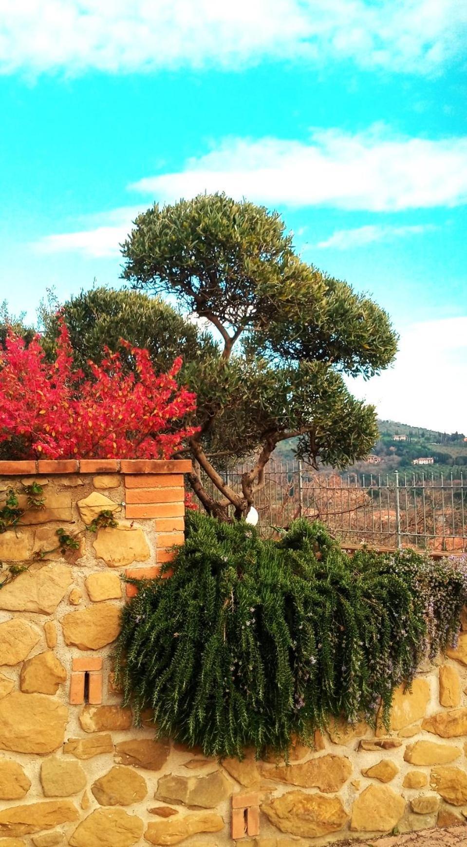 Olivo Bonsai Hotel Passignano sul Trasimeno Exterior foto