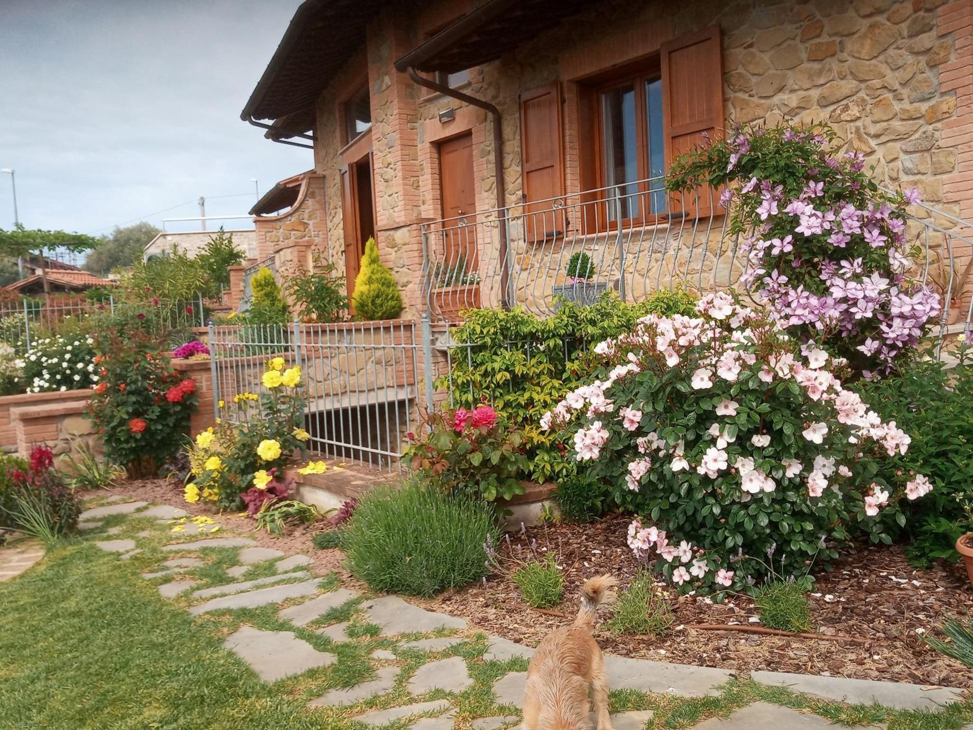 Olivo Bonsai Hotel Passignano sul Trasimeno Exterior foto
